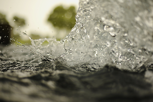 포토 JPG 해외이미지 나무 산업 여행 백그라운드 밭 농업 자연 수채화 풍경 사람없음 초록색 물 농경지 환경 성장 시골 연못 신선 액체 수분 튜브 모터 밭일 파이프라인 해외포토 자연요소 식물 컬러 농장 생태계 파이프_관 파일형식 이미지허브