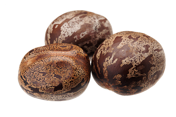 포토 JPG 해외이미지 나무 식물 산업 아시아 농업 태국 자연 씨앗 풍경 사람없음 컵 농작물 농장 우유 성장 나뭇가지 신선 막대기 사발 떨어짐 냄비 숲 열대우림 자르기 수집 날것 타이어 브라질 고무 내추럴 라텍스 공급 해외포토 식기 나라 컨셉 모션 유제품 사기그릇 남아메리카 솥 생태계 파일형식 이미지허브