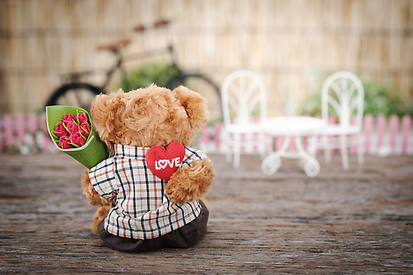 포토 JPG 해외이미지 모양 손 디자인 드레스 행복 인형 백그라운드 컨셉 곰 베개 휴가 기념 아이디어 발렌타인데이 선물 사랑 소년 사람없음 장식 빨간색 장난감 장미 금속 자전거 수확 하트 인사 클래식 달콤 오브젝트 주기 복고 2월 스타일 힙스터 해외포토 동물 옷 패션 남자 꽃 감정 어린이 컬러 농업 포유류 침구 모션 데이이벤트 재질 신체부위 바이크 예절 날짜 맛 파일형식 이미지허브