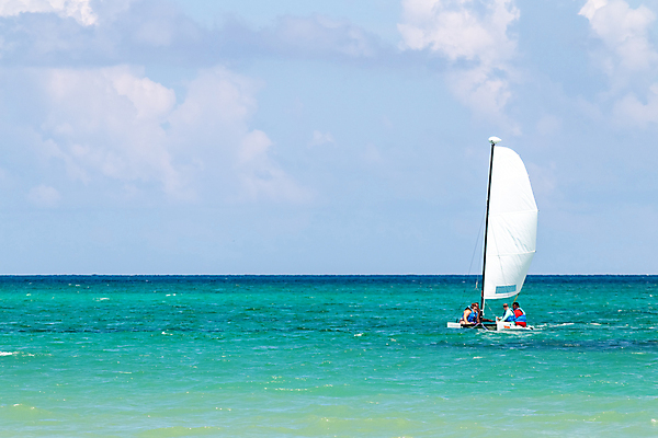 포토 JPG 해외이미지 스포츠 바다 여행 요트 자연 하늘 바람 휴가 항해 사람없음 야외 물 파란색 관광지 맑음 경쟁 이탈리아 자유 흰색 보트 고급 크루즈 승무원 지중해 속도 활 함선 네비게이션 추적 레가타 줄서기 수평선 카피스페이스 해외포토 자연요소 직업 유럽 컬러 컨셉 배_교통 모션 날씨 공백 생태계 파일형식 이미지허브