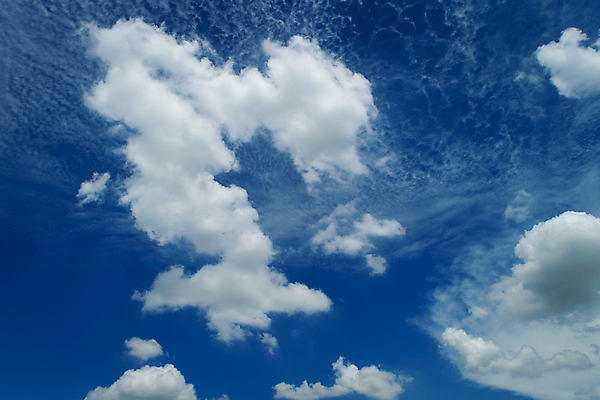 포토 JPG 해외이미지 구름 백그라운드 패턴 모션 자연 벽지 하늘 바람 날씨 추상 풍경 사람없음 야외 여름 파란색 빛 햇빛 태양 환경 침묵 봄 활발 자유 흰색 분위기 질감 장면 천국 내추럴 깊이 몽환 해외포토 자연요소 계절 컬러 컨셉 무늬 소리 생태계 파일형식 이미지허브