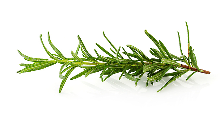 포토 JPG 해외이미지 식물 계절 문화 음식 백그라운드 잎 재료 자연 건강 사람없음 초록색 약 흰색 나뭇가지 신선 다발 먹기 허브 향신료 오브젝트 싱글 상쾌 유기농 날것 향기 테라피 로즈메리 고립 해외포토 나무 웰빙 감정 컬러 의학 모션 뷰티 생태계 냄새 향미료 파일형식 이미지허브