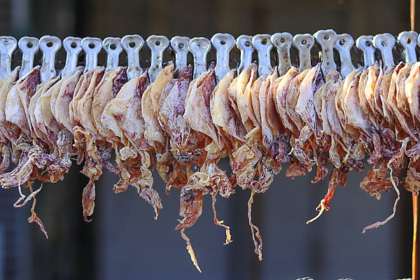 포토 JPG 해외이미지 동물 전통 아시아 문화 선 음식 재료 태국 자연 거리 건조 매달리기 건강 집게 육류 요리 사람없음 야외 여름 갈색 세일 신선 뜨거움 그룹 시장 맛 그릴 보호 먹기 해산물 오징어 날것 클립 소금 문어 지역 촉수 단백질 신발장 줄서기 해외포토 계절 나라 컬러 컨셉 식재료 모션 주방용품 연체동물 수중동물 생태계 영양소 파일형식 이미지허브