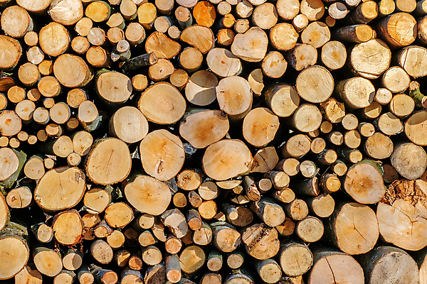 포토 JPG 해외이미지 나무 식물 건축물 산업 벽 백그라운드 패턴 자연 불 추상 주택 사람없음 목재 갈색 쌓기 환경 에너지 시골 신선 소나무 원형 거친 그룹 닫기 숲 장작 자르기 질감 날것 통나무 잡동사니 내추럴 벌목 수목 옛날 해외포토 자연요소 도형 건축 컬러 무늬 재료 모션 건물 생태계 파일형식 이미지허브