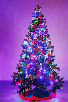 포토 JPG 해외이미지 나무 아이콘 전통 별 분홍색 백그라운드 크리스마스 겨울 공 추상 휴가 전등 새해 기념 이벤트 사람없음 내부 장식 빨간색 초록색 파란색 빛 컬러풀 장난감 크리스마스트리 보라색 축제 화환 어둠 장비 하트 램프 축하 소나무 신용카드 황금 시원함 오브젝트 심플 엽서 강렬 주도 해외포토 자연요소 모양 식물 계절 기념일 꽃 컬러 컨셉 무늬 조명 금융 예절 편지 파일형식 이미지허브