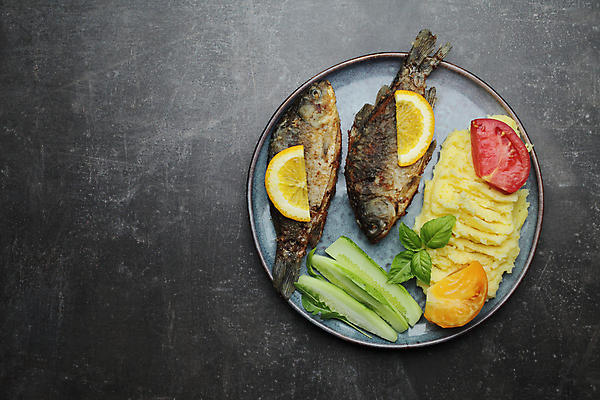 포토 JPG 해외이미지 접시 토마토 오이 실내 요리 사람없음 하이앵글 레몬 생선구이 바질 건강식 감자샐러드 플랫레이 해외포토 식기 음식 뷰포인트 채소 과일 내부 샐러드 플랫 구이 생선요리 파일형식 이미지허브