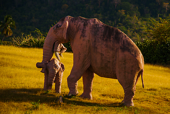 포토 JPG 해외이미지 동물 모델 디자인 공원 백그라운드 패턴 통신 자연 봉투 산 사람없음 세계 계곡 수확 골동품 역사 재산 편지 수집 공룡 그림 복고 쿠바 멸종 멸종위기동물 선사시대 원시시대 우표 취소 매머드 옛날 전국 편지쓰기 해외포토 공공시설 무늬 농업 파충류 금융 기록 중앙아메리카 생태계 파일형식 멸종위기종 이미지허브