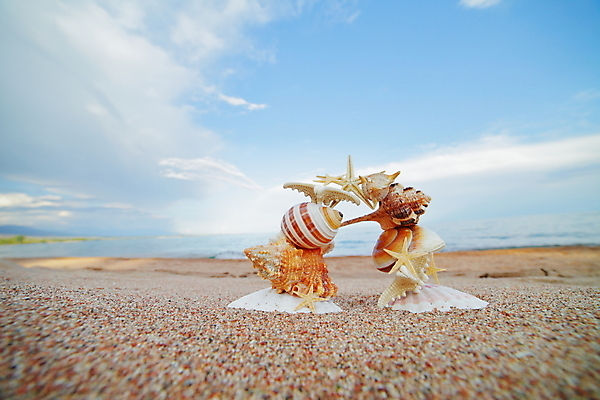 포토 JPG 해외이미지 딸 실루엣 별 바다 의자 데이트 장난 회사 손가락 청소년 휴식 함께함 따뜻함 웃음 사람없음 10대 가로 빛 달리기 햇빛 반사 침묵 우정 꿈 젖음 탐험 유머 결합 생물학 방문 사춘기 양발 파라다이스 스플래쉬 키르기스스탄 해외포토 자연요소 손 교육 감정 가구 컨셉 비즈니스 가족 모션 촬영기법 표정 사람 친구 태양 소리 중앙아시아 파일형식 이미지허브