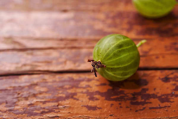 포토 JPG 해외이미지 식물 유럽 잎 농업 자연 건강 성인 사람없음 초록색 농작물 노란색 수확 성장 신선 그룹 다발 먹기 가득함 원예 광택 폴란드 숙성 채식주의자 해외포토 나라 산업 컬러 모션 사람 취미 생태계 채식 파일형식 이미지허브