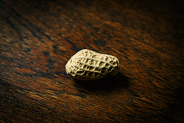 포토 JPG 해외이미지 음식 백그라운드 다이어트 채소 재료 자연 건조 건강 씨앗 사람없음 갈색 견과류 껍질 흰색 그룹 맛 굽기 먹기 오브젝트 유기농 질감 날것 땅콩 버터 내추럴 고립 단백질 해외포토 식물 웰빙 컬러 컨셉 모션 구이 생태계 영양소 파일형식 이미지허브