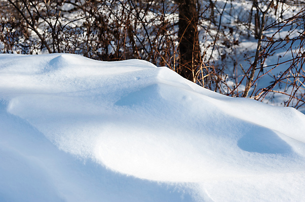 포토 JPG 해외이미지 계절 이동 캐나다 겨울 패턴 자연 표면 날씨 추상 그림자 경사 사람없음 야외 쌓기 환경 냉동 얼음 추위 흰색 나뭇가지 신선 매끈함 그늘 가루 모래언덕 묘사 언덕 질감 서리 윤곽 지역 흙더미 내추럴 제설기 폭설 해외포토 자연요소 나무 컬러 컨셉 북아메리카 무늬 모션 눈_날씨 흙 감각 자연재해 생태계 제설 파일형식 더미 이미지허브