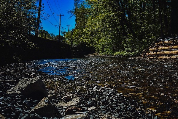 포토 JPG 해외이미지 잎 자연 하늘 풍경 사람없음 야외 초록색 물 여름 파란색 빛 햇빛 평화 환경 침묵 젖음 흐름 성장 신선 개울 황무지 떨어짐 매끈함 순수 각도 강렬 해외포토 자연요소 식물 계절 컬러 컨셉 강 태양 소리 감각 생태계 파일형식 이미지허브
