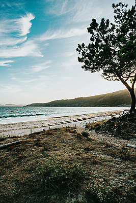 포토 JPG 해외이미지 주간 나무 파도 자연 휴식 풍경 잔디 해변 사람없음 야외 평화 경관 해외포토 자연요소 식물 바다 컨셉 생태계 파일형식 이미지허브