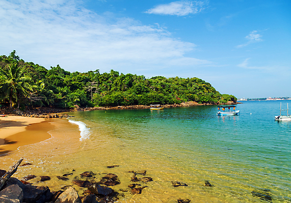 포토 JPG 해외이미지 나무 구름 계절 모래 파도 바다 섬 여행 잎 자연 하늘 휴가 열대 손바닥 풍경 사람없음 야외 초록색 물 여름 모래사장 햇빛 태양 맑음 꿈 서핑 숲 코코넛 천국 석호 내추럴 터키석 파라다이스 수평선 해외포토 자연요소 식물 손 컬러 과일 날씨 수상스포츠 보석 생태계 파일형식 이미지허브