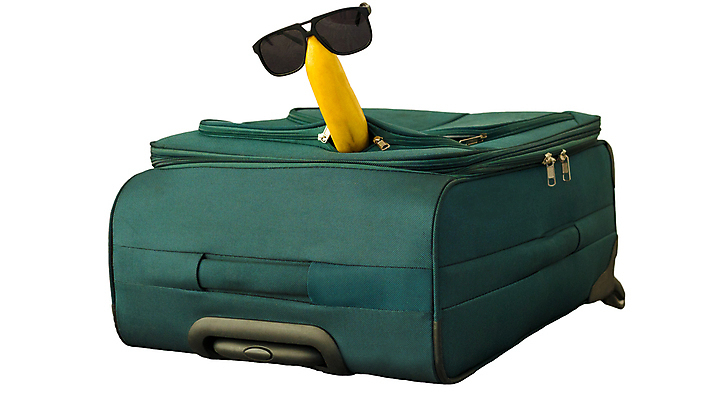 포토 JPG 해외이미지 디자인 옷 계절 여자 바다 여행 백그라운드 컨셉 가방 과일 비즈니스 호텔 추상 휴가 주택 바나나 미술 사람없음 그래픽 선글라스 유행 쌓기 여행가방 검은색 짐 흰색 샌들 가득함 심볼 오브젝트 사인 준비 싱글 휴양지 밀짚 고체 엘리먼트 스타일 해외포토 잡화 안경 컬러 신발 무늬 모션 숙소 문화예술 사람 건물 장소 짚 파일형식 이미지허브