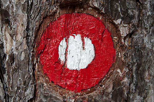 포토 JPG 해외이미지 나무 공원 도로 길 여행 십자가 가이드 자국 자연 표시 산 사람없음 야외 목재 빨간색 걷기 산책 트래킹 하이킹 정보 흰색 표지판 숲 방향 심볼 사인 신호 알프스 봉 공지사항 루트 방법 선로 조언 충고 해외포토 식물 직업 공공시설 유럽 컬러 재료 교통시설 모션 레저 휴식 알림판 생태계 파일형식 이미지허브