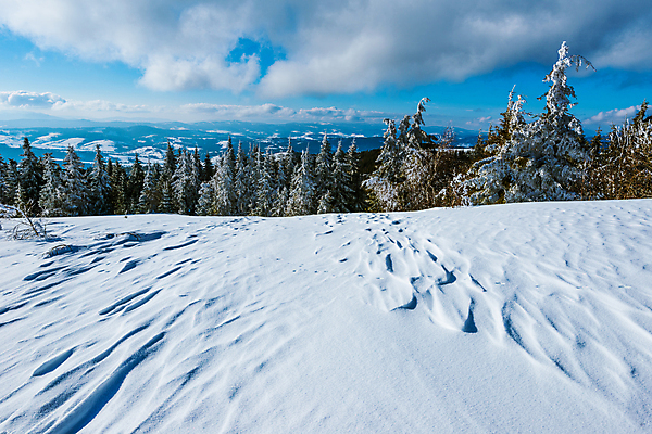 포토 JPG 해외이미지 나무 구름 유럽 여행 겨울 자연 하늘 휴가 스키 산 파노라마 풍경 사람없음 야외 파란색 태양 환경 계곡 냉동 얼음 하이킹 추위 성장 흰색 시골 소나무 숲 언덕 휴양지 서리 북쪽 슬로프 산악지대 절정 폭설 눈내림 가문비나무 해외포토 자연요소 식물 계절 나라 컬러 레저 겨울스포츠 스키장 눈_날씨 촬영기법 장소 자연재해 방향 생태계 파일형식 이미지허브