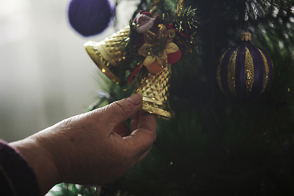 포토 JPG 해외이미지 나무 라이프스타일 손 행복 크리스마스장식 크리스마스 가정 조명 실내 매달리기 한명 사람 사람없음 신체부위 장식 가로 인테리어 컬러풀 크리스마스트리 기쁨 축하 잡기 예측 집중 사춘기 해외포토 식물 1 디자인 기념일 감정 컬러 컨셉 모션 내부 생활 파일형식 이미지허브