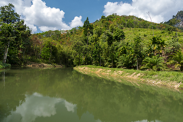 포토 JPG 해외이미지 구름 공원 바다 여행 태국 자연 하늘 휴가 휴식 산 동양인 풍경 사람없음 야외 물 파란색 빛 강 태양 숲 장면 내추럴 이국적 전국 파라다이스 해외포토 자연요소 공공시설 아시아 컬러 컨셉 인종 생태계 파일형식 이미지허브