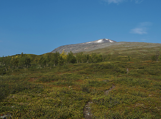 포토 JPG 해외이미지 나무 구름 공원 유럽 여행 백그라운드 자국 자연 휴가 산 스웨덴 풍경 사람없음 야외 초록색 물 여름 파란색 컬러풀 태양 하이킹 바위 개울 역사 숲 오솔길 북극 언덕 자작나무 스칸디나비아 전국 해외포토 자연요소 식물 계절 공공시설 나라 길 컬러 레저 북유럽 강 돌_바위 극지방 생태계 파일형식 이미지허브