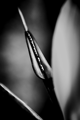 포토 JPG 해외이미지 계절 공원 꽃 분홍색 나비 곤충 잎 꽃무늬 자연 사람없음 야외 빨간색 초록색 빛 컬러풀 태양 노란색 정원 희망 봄 달력 가을 신선 숲 보케 무당벌레 모음 아티초크 해외포토 자연요소 식물 동물 공공시설 감정 컬러 무늬 생태계 파일형식 이미지허브