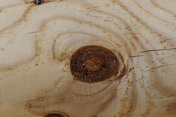 포토 JPG 해외이미지 나무 디자인 외관 벽 백그라운드 패턴 오렌지 건축양식 추상 주택 사람없음 건물 목재 울타리 갈색 노란색 시골 소나무 판넬 질감 통나무 내추럴 수목 옛날 해외포토 식물 건축물 건축 컬러 무늬 과일 재료 담장 파일형식 이미지허브