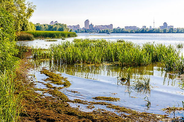 포토 JPG 해외이미지 나무 계절 공원 별 파도 여행 풍경 사람없음 야외 건물 초록색 빛 강 햇빛 태양 반사 노란색 평화 맑음 침묵 새벽 도시 마법 타운 넘어짐 우크라이나 해외포토 자연요소 식물 건축물 공공시설 유럽 바다 컬러 컨셉 모션 날씨 소리 파일형식 이미지허브