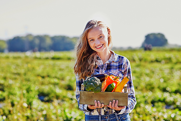 포토 JPG 해외이미지 계절 유럽 음식 농업 오렌지 과일 자연 호박 가지 파프리카 건강 옥수수 한명 사람 목재 빨간색 초록색 농작물 상자 농장 노란색 주방 정원 수확 가을 흰색 시골 신선 맛 농부 브로콜리 나무상자 수집 유기농 생태계 원예 날것 후추 국산 숙성 채식주의자 해외포토 나무 직업 1 웰빙 나라 산업 컬러 컨셉 채소 재료 곡류 취미 향신료 채식 파일형식 이미지허브