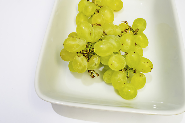 포토 JPG 해외이미지 식물 계절 열매 음식 백그라운드 농업 다이어트 과일 자연 탁자 포도 디저트 건강 사람없음 목재 빨간색 초록색 여름 농작물 노란색 와인 보라색 수확 가을 흰색 나뭇가지 신선 사발 닫기 달콤 다발 먹기 묘사 유기농 날것 포도나무 내추럴 고립 숙성 해외포토 나무 웰빙 산업 컬러 가구 재료 모션 주류 사기그릇 맛 과일나무 생태계 파일형식 이미지허브