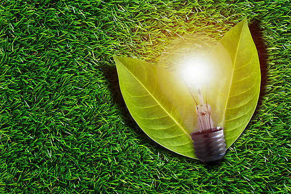 포토 JPG 해외이미지 나무 식물 디자인 공원 지구 백그라운드 컨셉 잎 전구 자연 추상 아이디어 건강 사람없음 건물 초록색 빛 세계 글로벌 지구본 평화 환경 에너지 성장 보호 에코 생태계 내추럴 개발 돌봄 바이오 생태학 소셜 해외포토 건축물 공공시설 교육 컬러 무늬 모션 파일형식 이미지허브