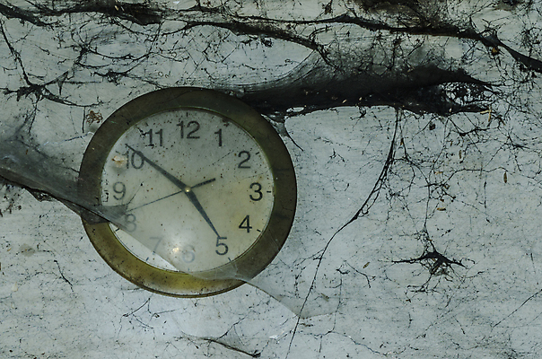 포토 JPG 해외이미지 벽 건축양식 창문 주택 이야기 사람없음 건물 탐험 역사 빌라 천연기념물 발견 떠남 무인 옛날 파멸 해외포토 건축물 건축 컨셉 모션 파일형식 소멸 이미지허브