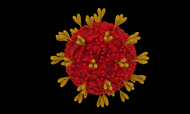 포토 JPG 해외이미지 모델 과학 백그라운드 컨셉 일러스트 추상 생물 세포 건강 현미경 사람없음 그래픽 약 3D 건강관리 검은색 고통 열 실험실 바이러스 질병 위험 생물학 만들기 감염 전염 미생물 암 박테리아 고립 단백질 백신 인플루엔자 전염병 해외일러스트 교육 감정 컬러 무늬 의학 모션 실험기구 실험 관리 디지털합성 영양소 파일형식 이미지허브
