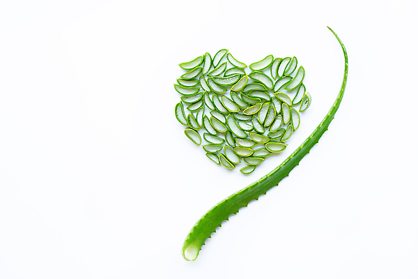 포토 JPG 해외이미지 스튜디오촬영 단면 실내 사람없음 초록색 하트 흰배경 알로에 해외포토 모양 식물 컬러 백그라운드 내부 흰색 파일형식 이미지허브