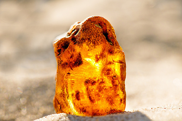 포토 JPG 해외이미지 자연 사람없음 빛 주황색 투명 보석 화석 앰버 해외포토 컬러 광석 생태계 파일형식 이미지허브