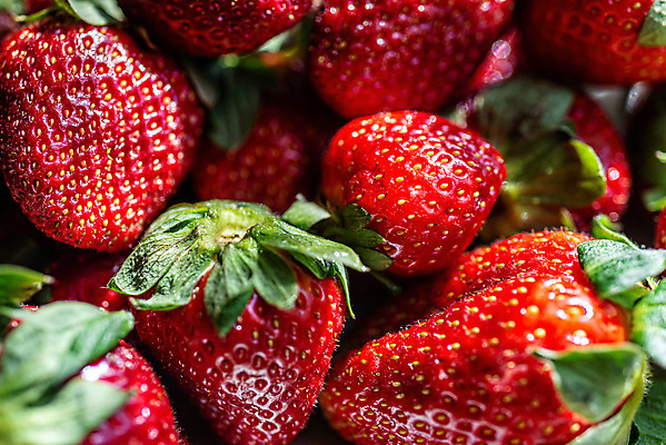 포토 JPG 해외이미지 계절 열매 음식 백그라운드 농업 다이어트 과일 딸기 디저트 건강 사람없음 빨간색 컬러풀 정원 활발 수확 신선 달콤 맛 자르기 상쾌 유기농 질감 날것 내추럴 숙성 식용 채식주의자 많음 비건 해외포토 식물 웰빙 감정 산업 컬러 컨셉 모션 채식 파일형식 이미지허브