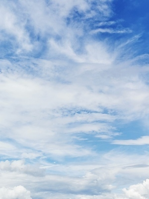 포토 JPG 해외이미지 구름 모델 행복 얼굴 백그라운드 밭 인터넷 신체 가족 자동차 자연 하늘 비행기 서기 사람 사람없음 야외 물 파란색 사무실 유행 도시 그룹 승차 큼 주차 연 사인 활주로 제트기 대패 돌봄 해외포토 자연요소 감정 길 육상교통 컬러 농업 비즈니스 관계 항공교통 모션 대중교통 신체부위 놀이용품 크기 생태계 파일형식 이미지허브