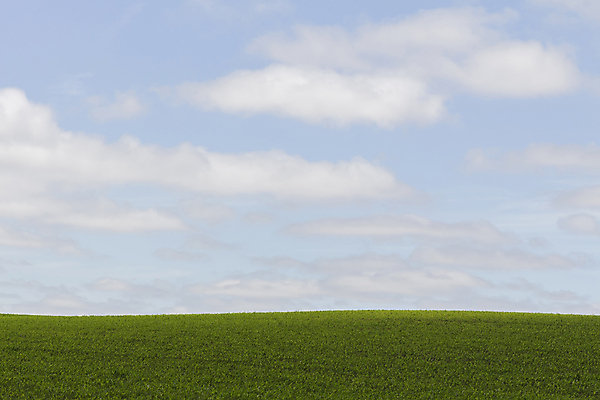 포토 JPG 해외이미지 식물 계절 단풍 밭 자연 하늘 날씨 파노라마 풍경 사람없음 야외 초록색 여름 파란색 농경지 평화 환경 침묵 자유 시골 신선 고독 장면 수평선 해외포토 감정 컬러 컨셉 잎 농업 촬영기법 농장 소리 생태계 파일형식 이미지허브