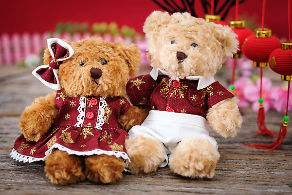 포토 JPG 해외이미지 식물 드레스 계절 행복 아시아 문화 인형 백그라운드 컨셉 돈 곰 휴가 봉투 새로움 기념 선물 사랑 동양인 사람없음 장식 빨간색 우주 축제 중국 봄 벚꽃 등불 인사 최고 행운 재산 황금 축복 큼 오브젝트 주기 스타일 해외포토 동물 옷 꽃 감정 나라 컬러 포유류 모션 조명 인종 금융 예절 크기 파일형식 이미지허브