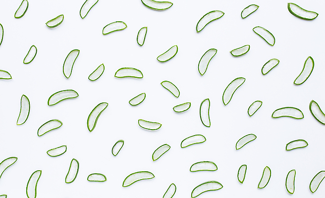 포토 JPG 해외이미지 스튜디오촬영 단면 실내 사람없음 초록색 흰배경 알로에 해외포토 식물 컬러 백그라운드 내부 흰색 파일형식 이미지허브