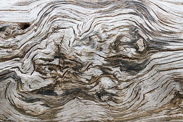 포토 JPG 해외이미지 모양 나무 식물 산업 조각 백그라운드 십자가 패턴 부분 자연 추상 미술 사람없음 목재 갈색 노란색 흰색 반지 업무 원형 거친 역사 숲 자르기 묘사 질감 통나무 나무껍질 내추럴 깨짐 방법 수목 옛날 노화 해외포토 도형 컬러 컨셉 무늬 재료 장신구 모션 문화예술 껍질 작업 생태계 파일형식 이미지허브