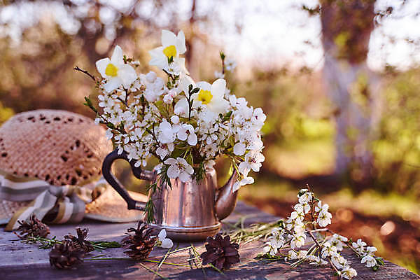 포토 JPG 해외이미지 꽃 분홍색 꽃무늬 자연 주전자 사람없음 가로 성장 벚꽃 흰색 나뭇가지 체리 고립 살구 해외포토 나무 식물 컬러 무늬 과일 주방용품 생태계 파일형식 이미지허브