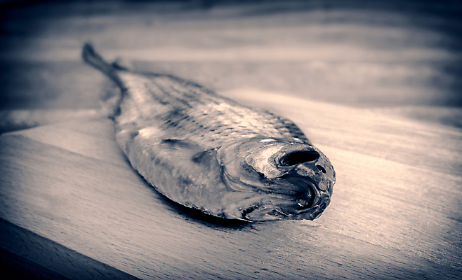 포토 JPG 해외이미지 나무 1 전통 음식 백그라운드 다이어트 탁자 건조 도마 맥주 실내 어류 사람없음 목재 가로 갈색 주방 수확 시골 신선 닫기 큼 해산물 소금 내추럴 절임 카피스페이스 해외포토 식물 컬러 가구 농업 재료 모션 주방용품 주류 건강 내부 수중동물 공백 크기 파일형식 이미지허브