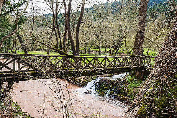 포토 JPG 해외이미지 나무 전통 계절 유럽 길 여행 잎 자국 자연 휴가 이끼 풍경 사람없음 야외 목재 물 강 컬러풀 젖음 시골 양 개울 숲 그리스 그림 장면 그리스인 내추럴 해외포토 자연요소 서양인 식물 나라 컬러 재료 포유류 생태계 파일형식 이미지허브