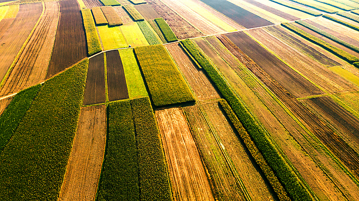 포토 JPG 해외이미지 계절 유럽 산업 파도 밭 농업 추상 안테나 파노라마 풍경 사람없음 야외 초록색 농작물 컬러풀 농장 농경지 환경 수확 성장 시골 정상 땅 장면 강렬 드론 밭일 조감도 모라비아 세련 해외포토 나라 바다 컬러 무늬 통신 촬영기법 체코 파일형식 이미지허브