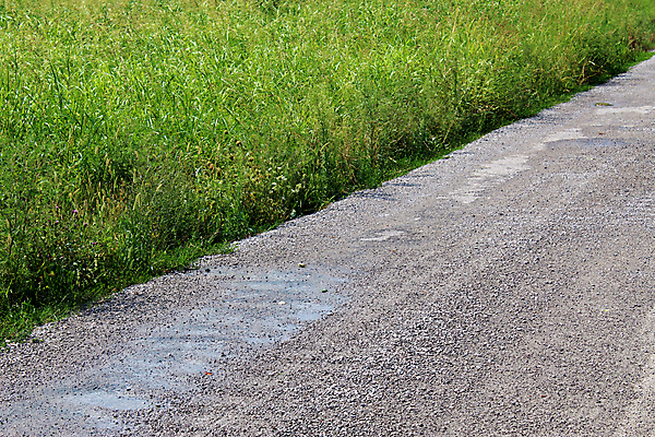 포토 JPG 해외이미지 도로 밭 사람없음 초록색 물 농경지 시골 묘사 대각선 세련 해외포토 자연요소 길 선 컬러 농업 교통시설 농장 파일형식 이미지허브