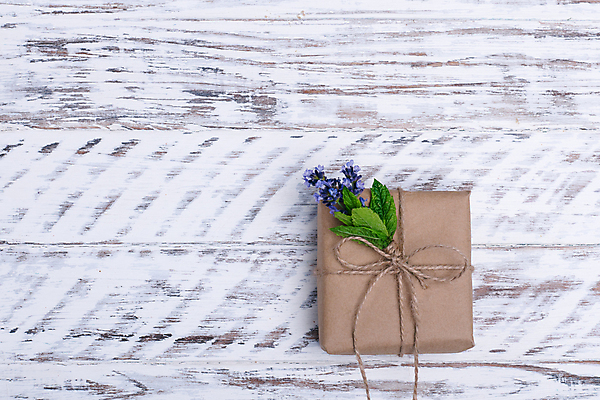 포토 JPG 해외이미지 식물 꽃잎 꽃 줄기 분홍색 꽃다발 백그라운드 잎 꽃무늬 자연 기념 선물 사람없음 목재 초록색 파란색 보라색 봄 벚꽃 흰색 허브 흰배경 라벤더 고립 해외포토 나무 계절 컬러 무늬 재료 생태계 파일형식 이미지허브