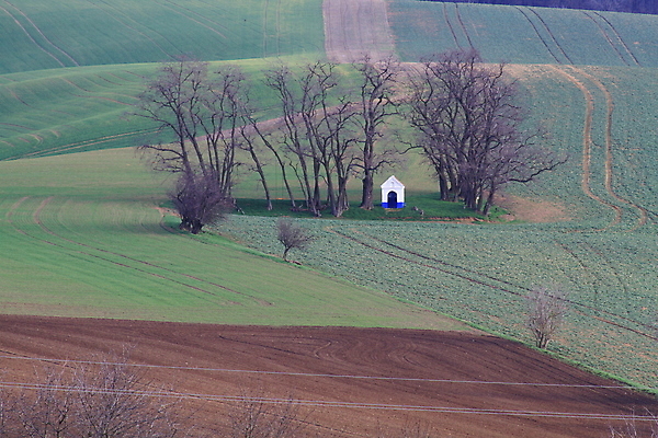 포토 JPG 해외이미지 나무 유럽 야생동물 여행 밭 자연 벽지 휴가 파노라마 그림자 사람 풍경 사람없음 야외 초록색 여름 컬러풀 태양 와인 맑음 놀람 봄 산책로 언덕 만족 그림 지역 체코 남쪽 공화국 토스카나 모라비아 해외포토 자연요소 식물 동물 계절 감정 나라 길 컬러 농업 날씨 주류 촬영기법 표정 이탈리아 방향 생태계 파일형식 이미지허브