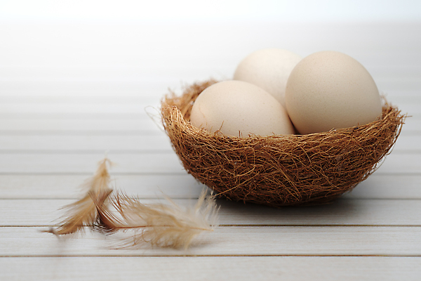 포토 JPG 해외이미지 음식 백그라운드 농업 재료 조류 부활절 주택 오리 건조 건강 요리 사람없음 목재 상자 농장 바구니 주방 계란 저녁식사 치킨 수확 껍질 흰색 시골 신선 그룹 둥지 볏짚 아침식사 깃털 에코 유기농 날것 흙더미 내추럴 점심식사 단백질 암탉 정물화 해외포토 나무 동물 웰빙 기념일 산업 컬러 건물 환경 알 식사 흙 닭 짚 암컷 그림 닭고기요리 영양소 파일형식 더미 이미지허브