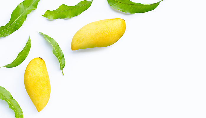 포토 JPG 해외이미지 잎 실내 사람없음 열대과일 흰배경 망고 카피스페이스 해외포토 식물 백그라운드 과일 내부 공백 흰색 파일형식 이미지허브