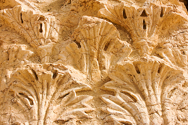 포토 JPG 해외이미지 문화 사람없음 태양 여행객 일몰 도시 성 무역 폐허 전쟁 기념물 그리스인 고고학 로마인 시리아 오아시스 제국 해외포토 자연요소 서양인 건축물 교육 산업 중동 사람 인종 노을 파일형식 이미지허브